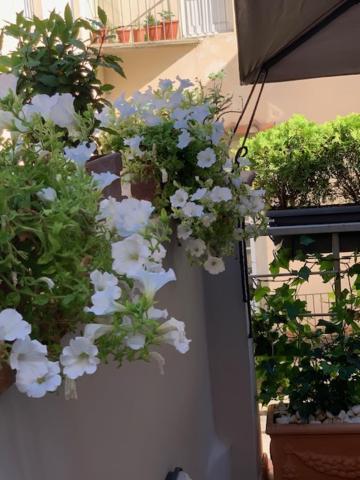 Apartamento La Terrazza Del Duomo A Pistoya Exterior foto