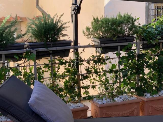 Apartamento La Terrazza Del Duomo A Pistoya Exterior foto